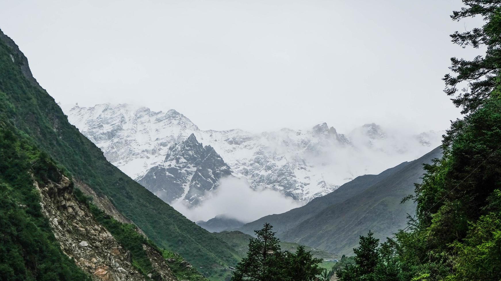 Lush Greenery Covered Mountainside of Himalayas and Springs of Glacial Water. photo