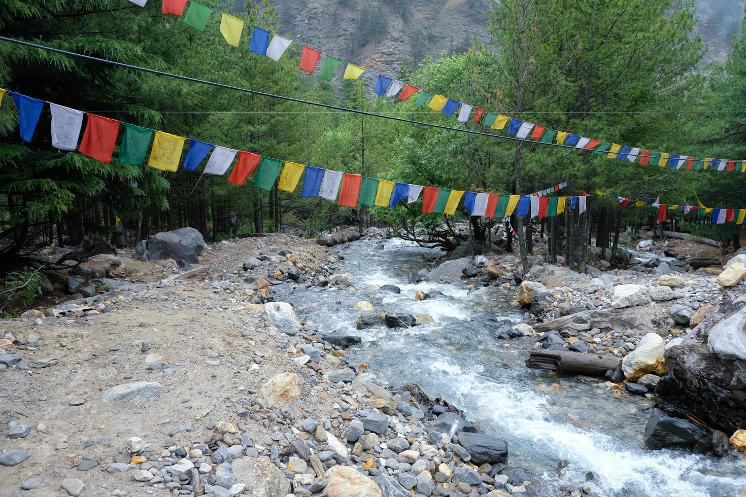 Himalayan Valley and Flowing Fresh Waters of River Ganges photo