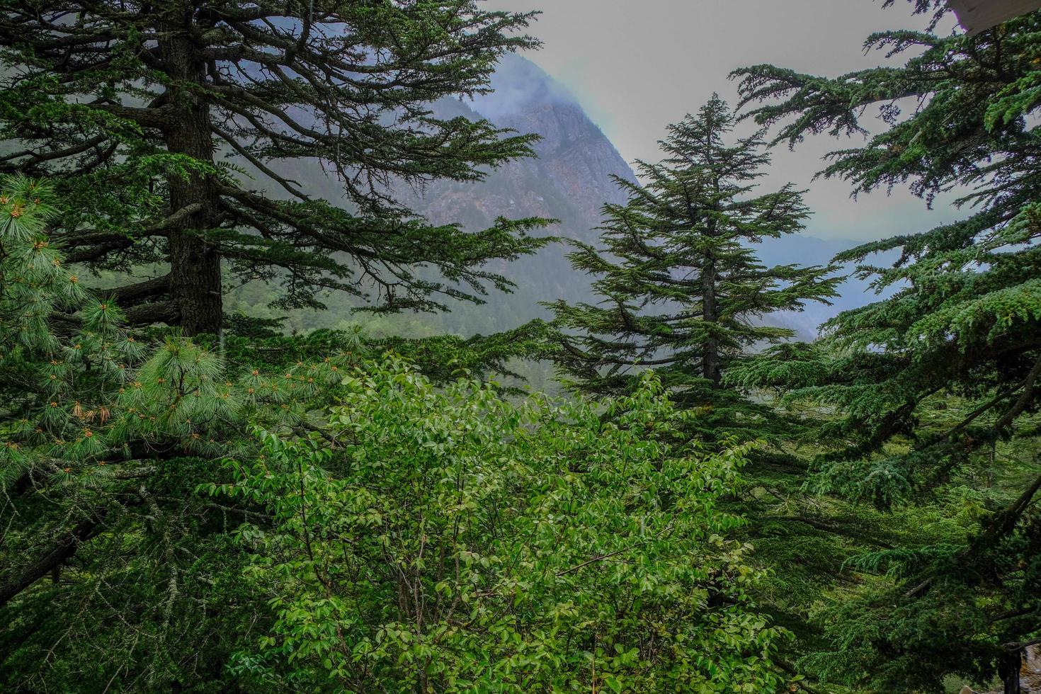 Himalayan Valley and Flowing Fresh Waters of River Ganges photo