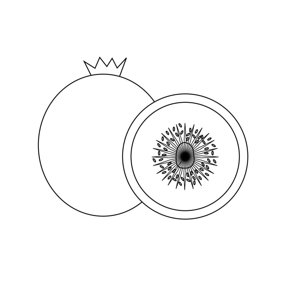 fruta de kiwi. diagrama de fruta de kiwi vector