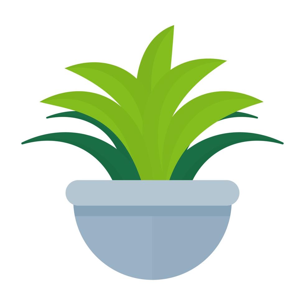 concepto de aloe vera vector