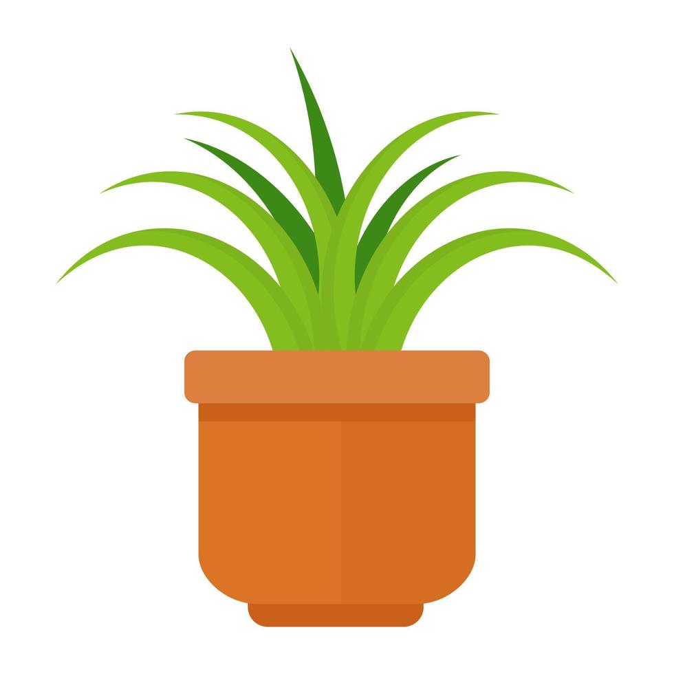 Chlorophytum Comosum Concepts vector