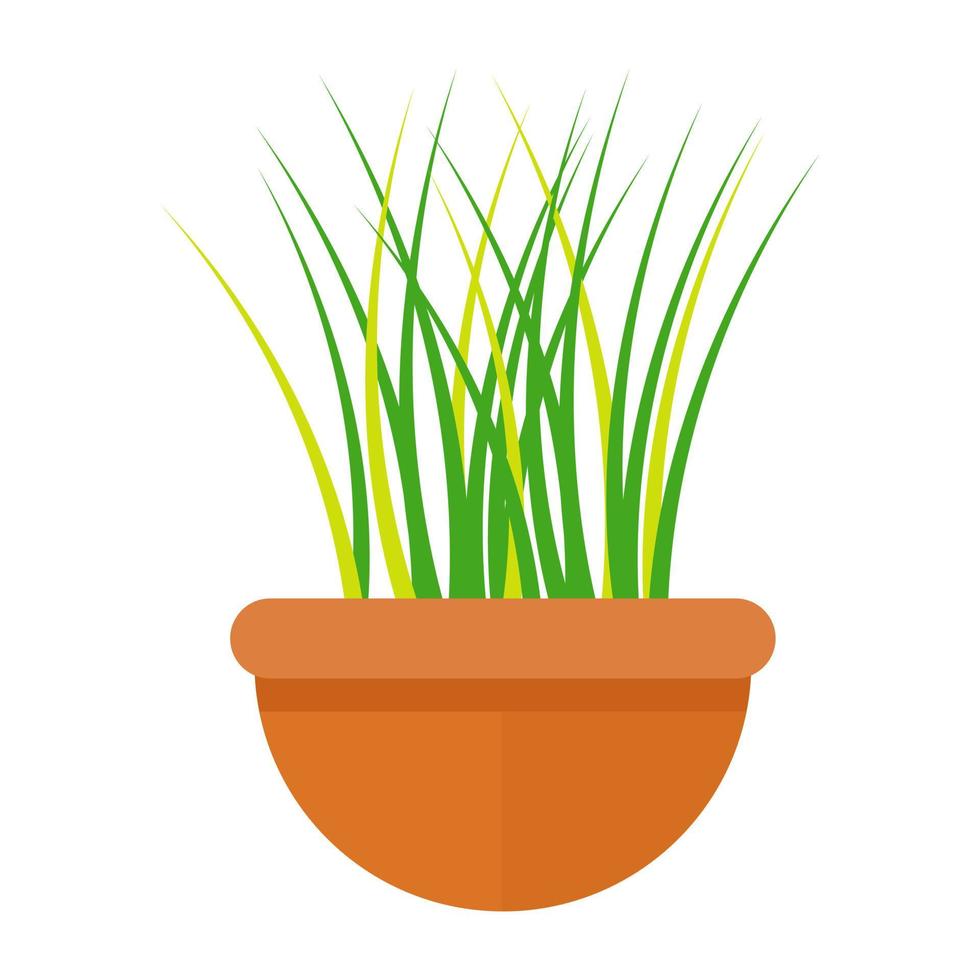 Ornamental Grass Concepts vector