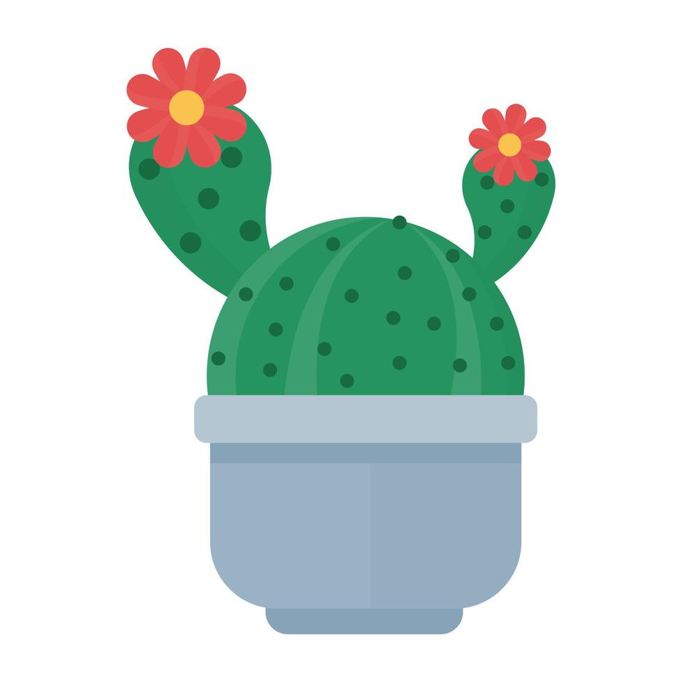 conceptos de rebutia de moda vector