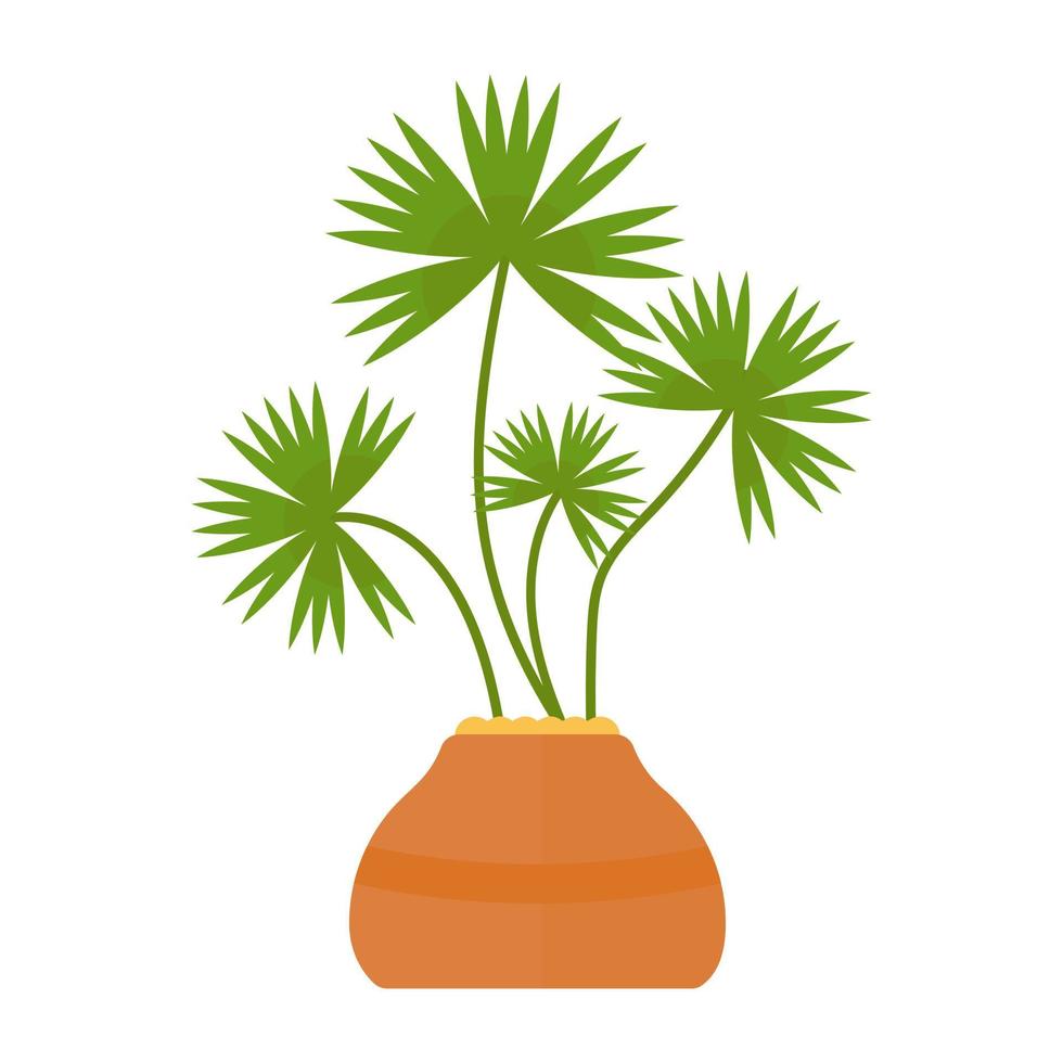 Trendy Thrinax Concepts vector