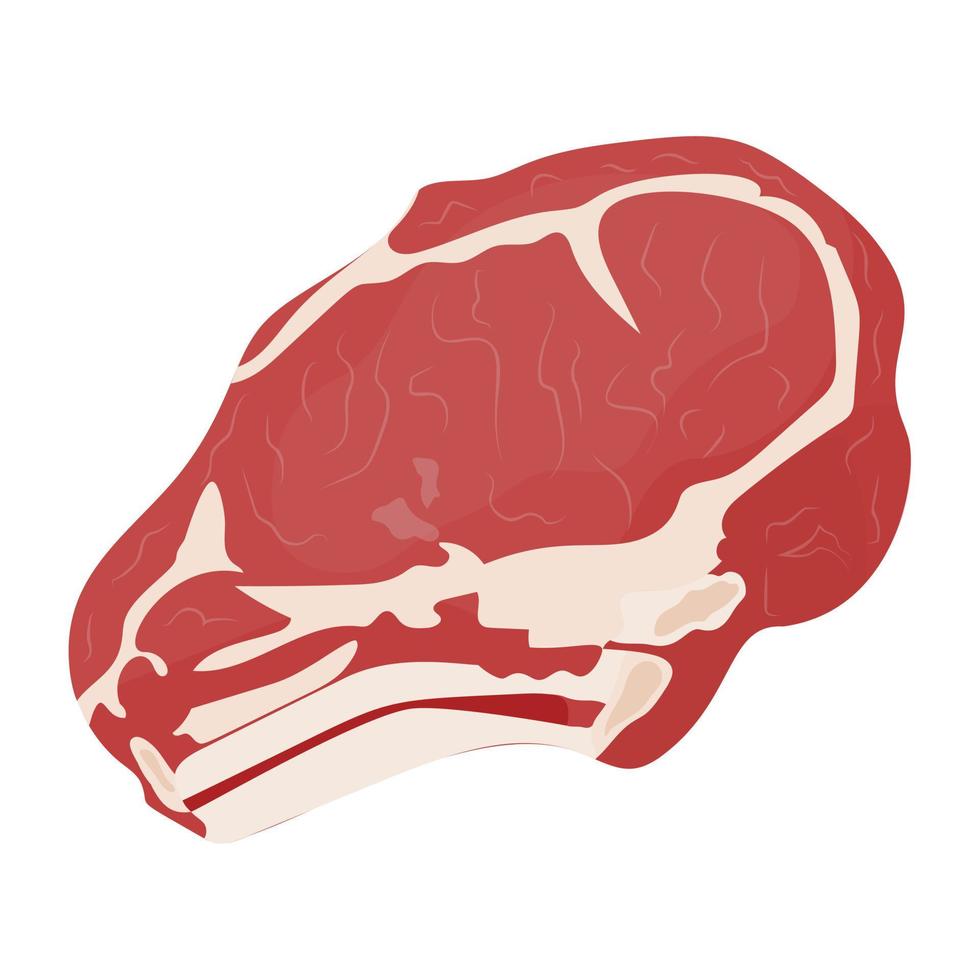 Ribeye Steak Concepts vector