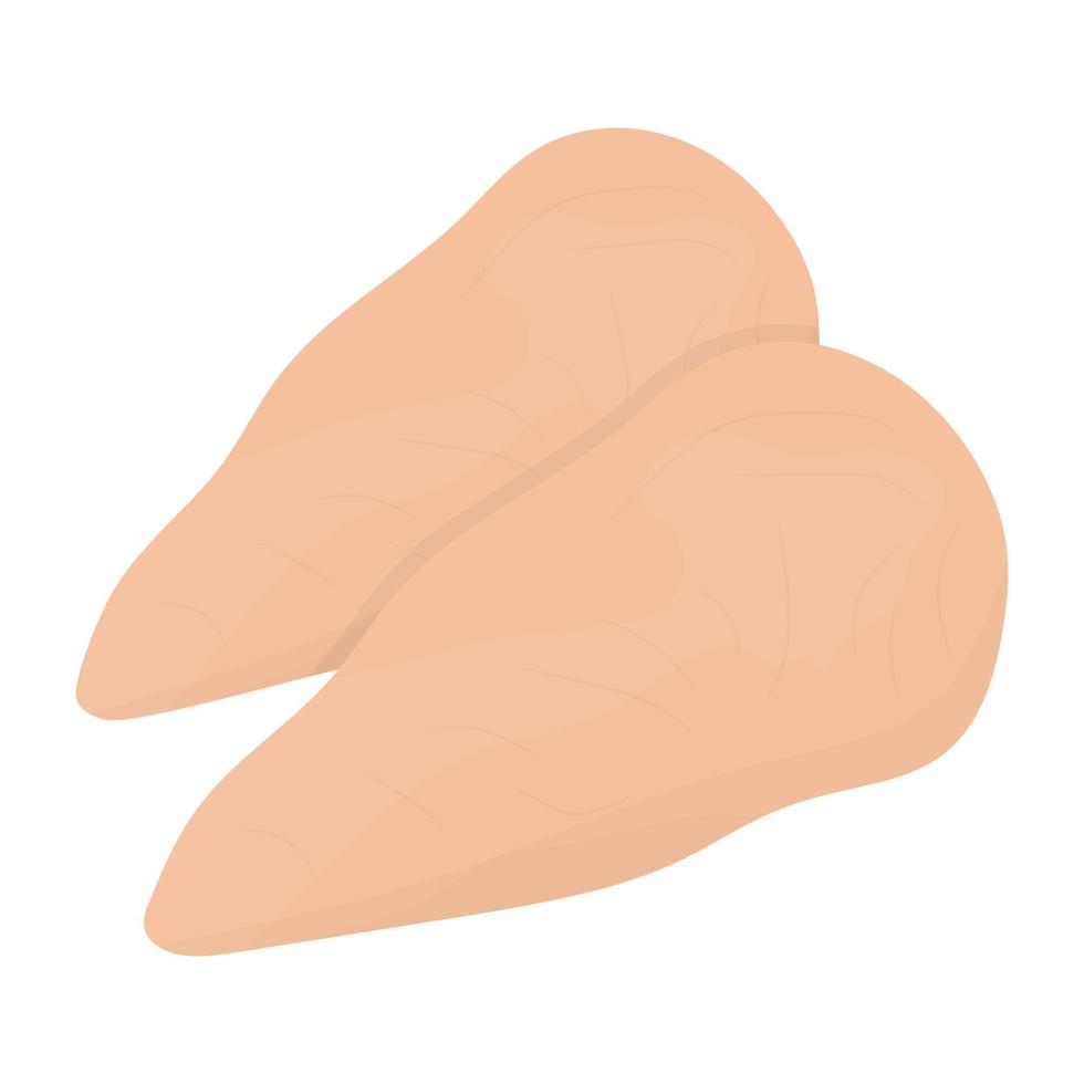Chicken Meat Concepts vector
