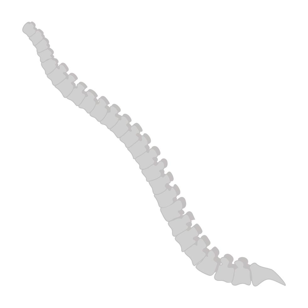 Trendy Backbone Concepts vector