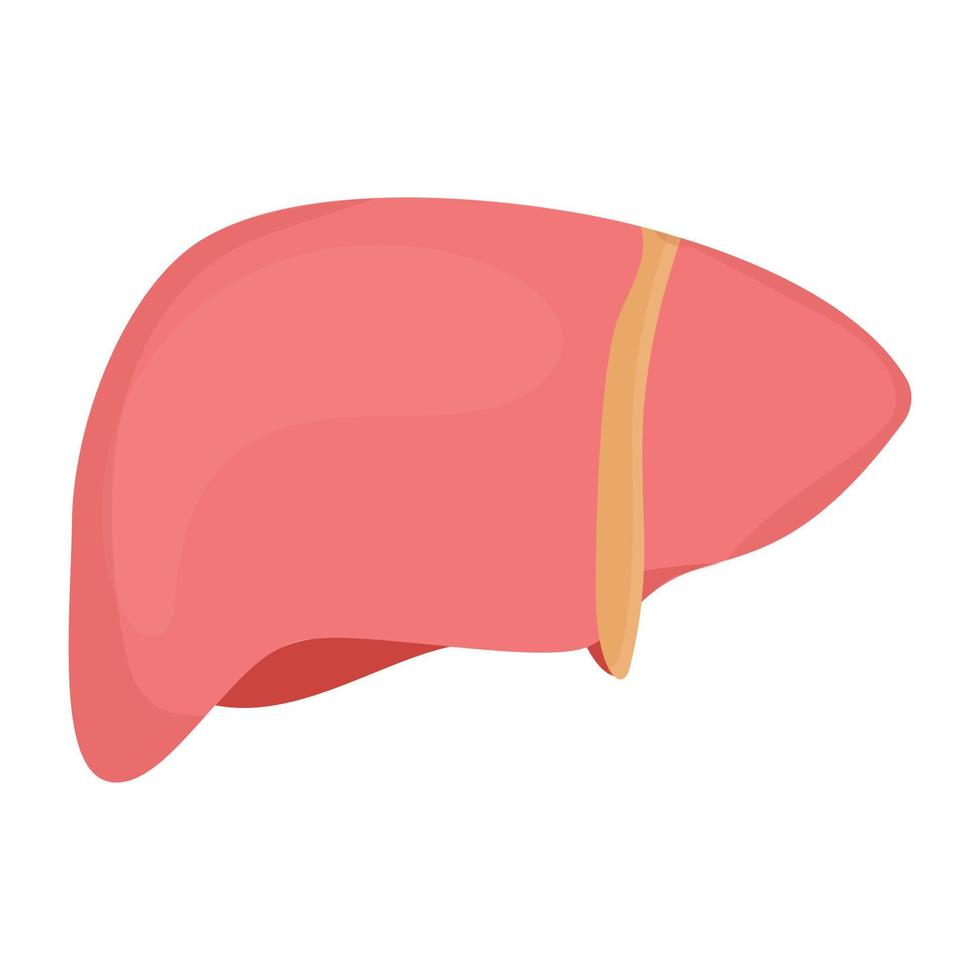 Trendy Liver Concepts vector