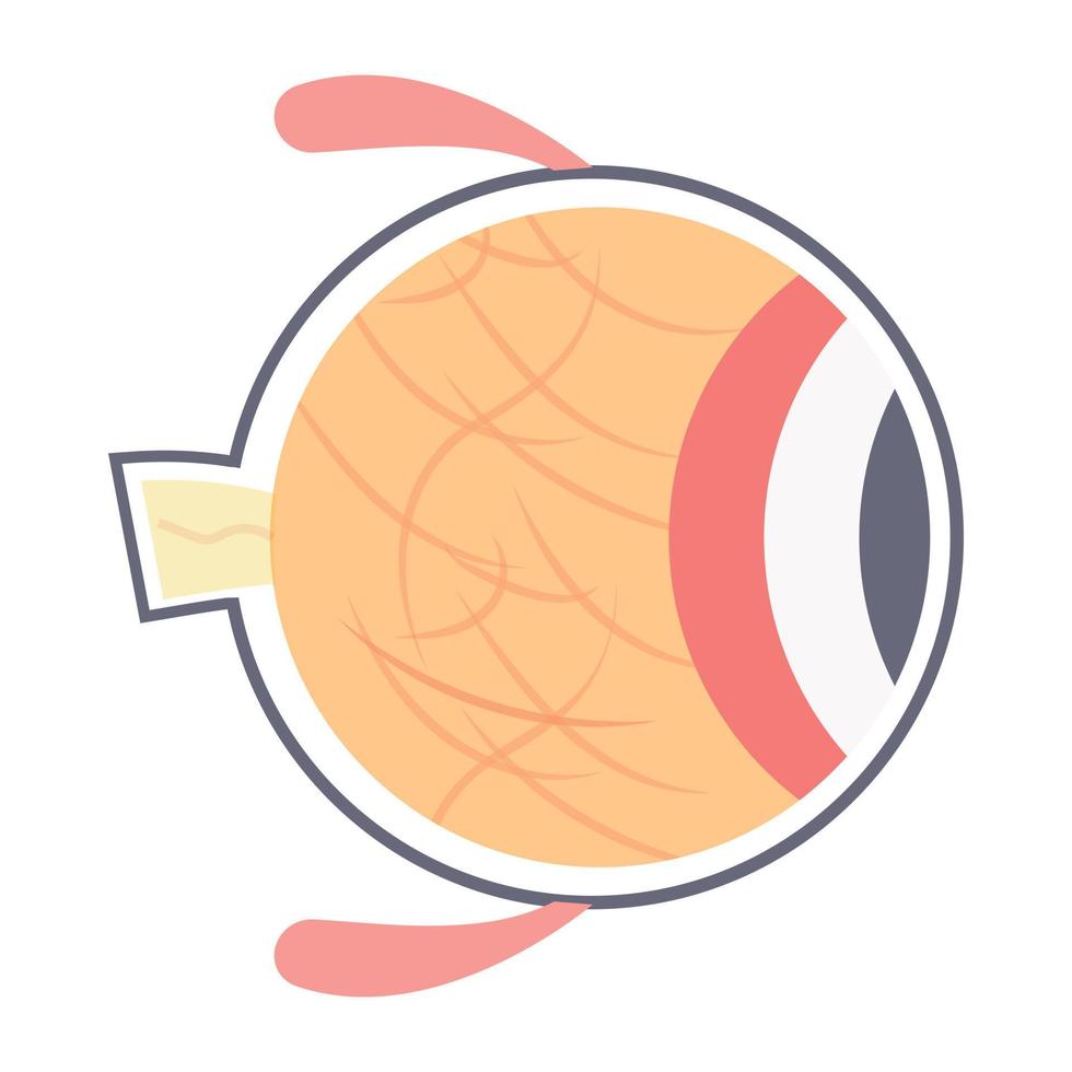 Trendy Eye Concepts vector