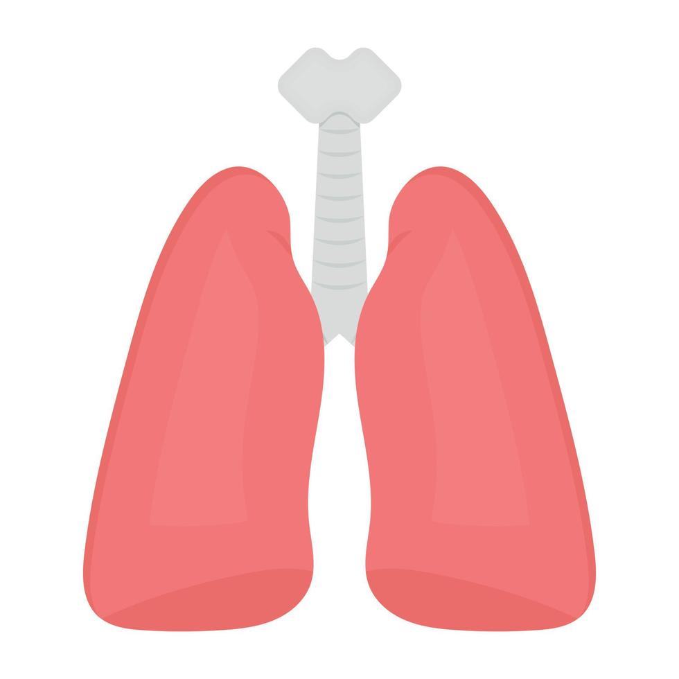 conceptos del sistema respiratorio vector