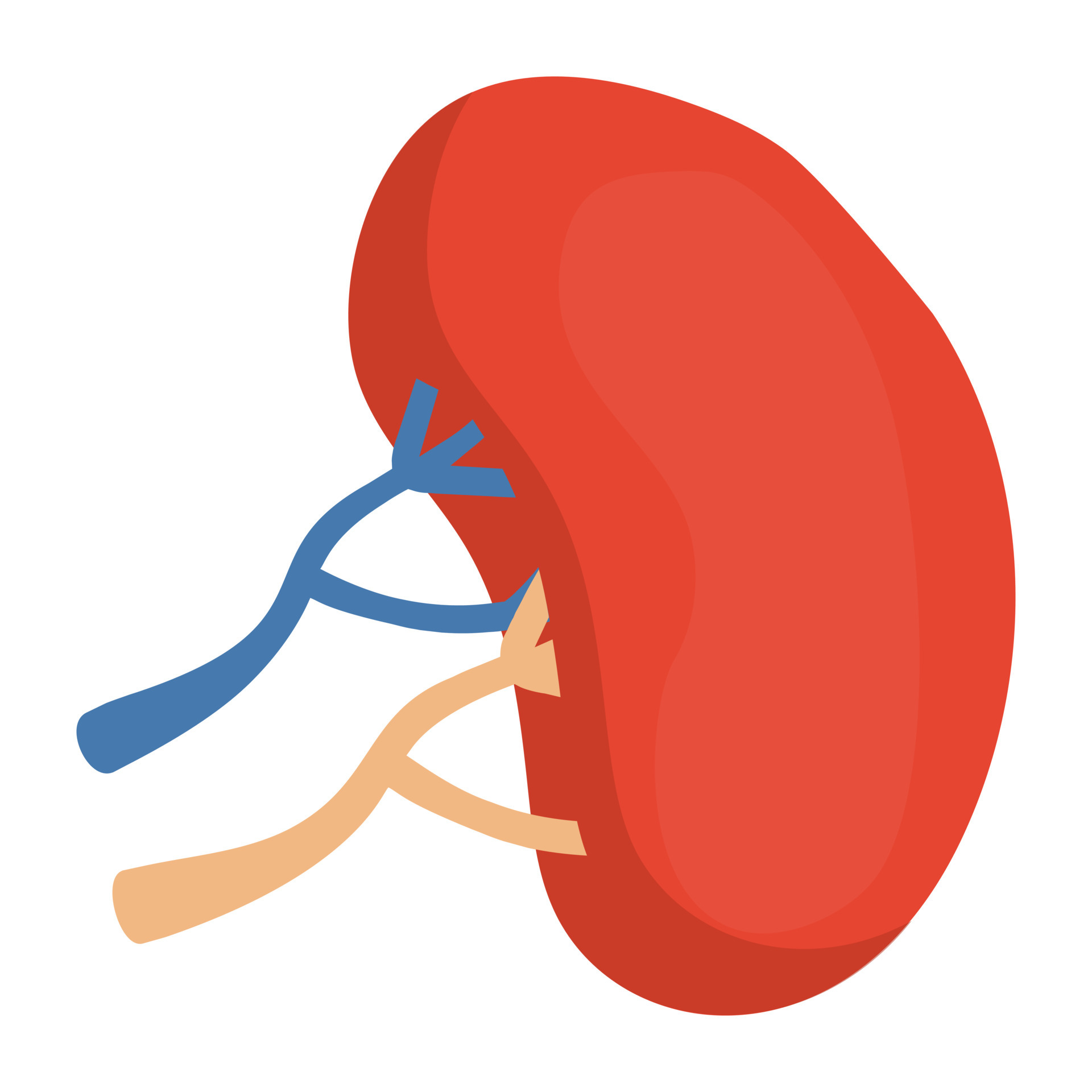 Trendy Kidney Concepts 4658215 Vector Art at Vecteezy