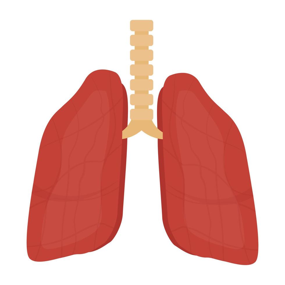 Respiratory System Concepts vector