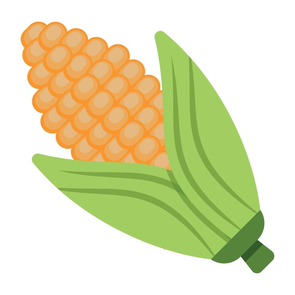 Fresh Corn Concepts vector