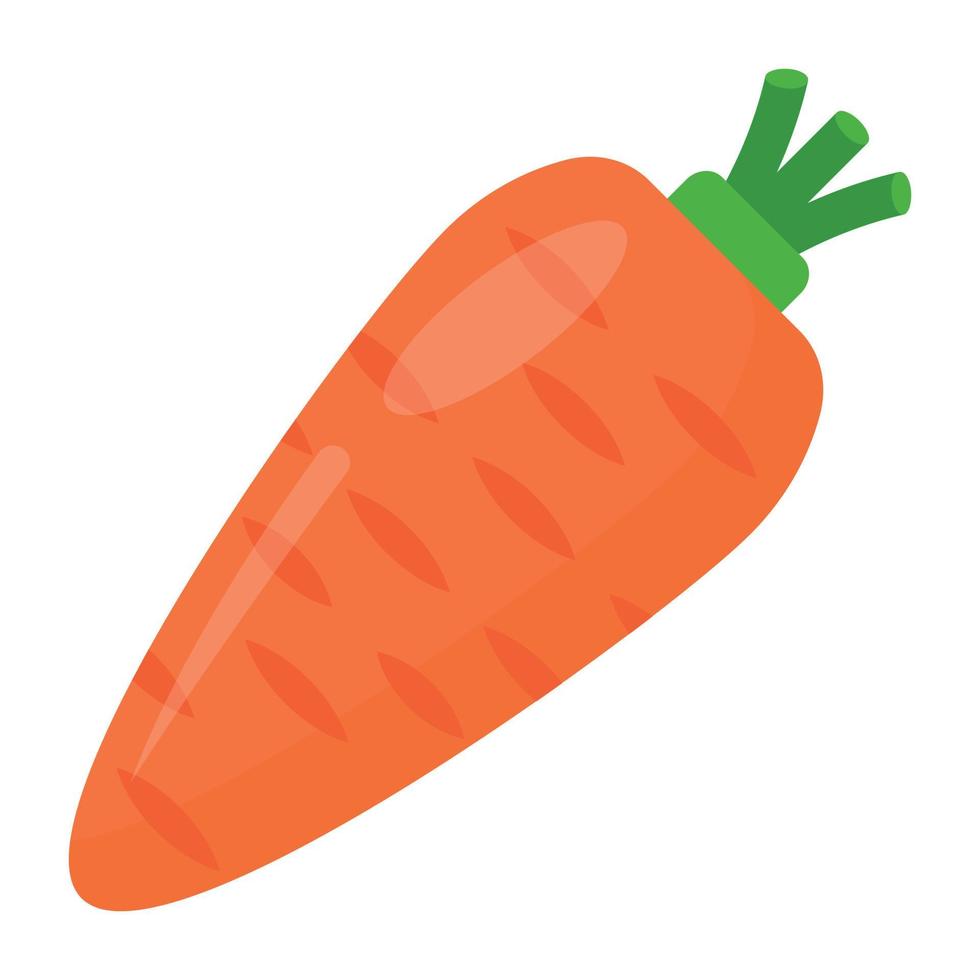 Trendy Carrot Concepts vector