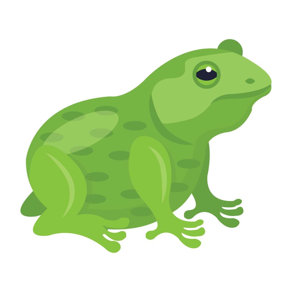 Trendy Frog Concepts vector