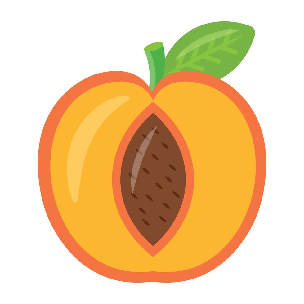 Trendy Peach Concepts vector