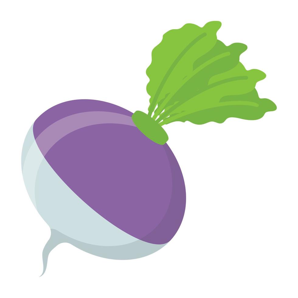 Trendy Turnip Concepts vector
