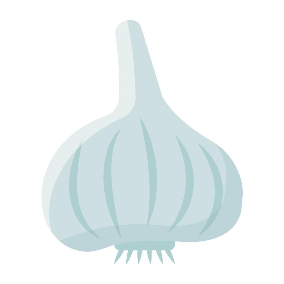 Garlic Bulb Concepts vector