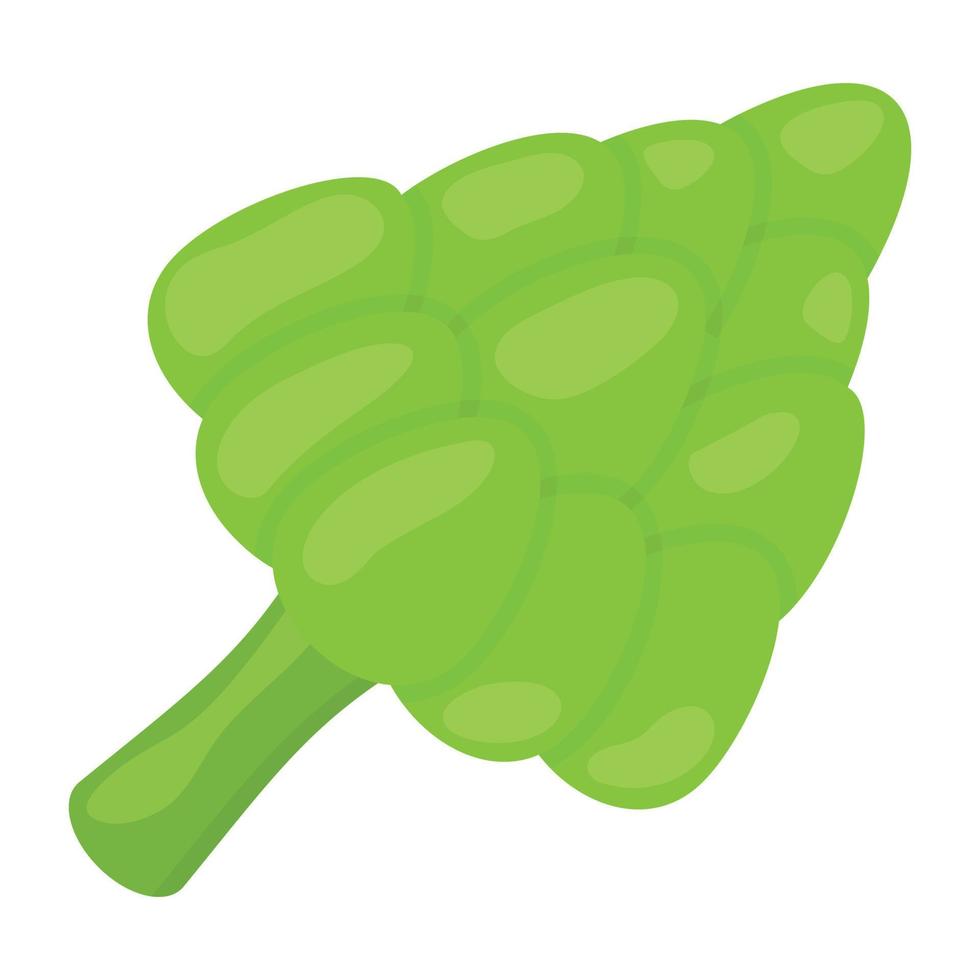 Trendy Broccoli Concepts vector