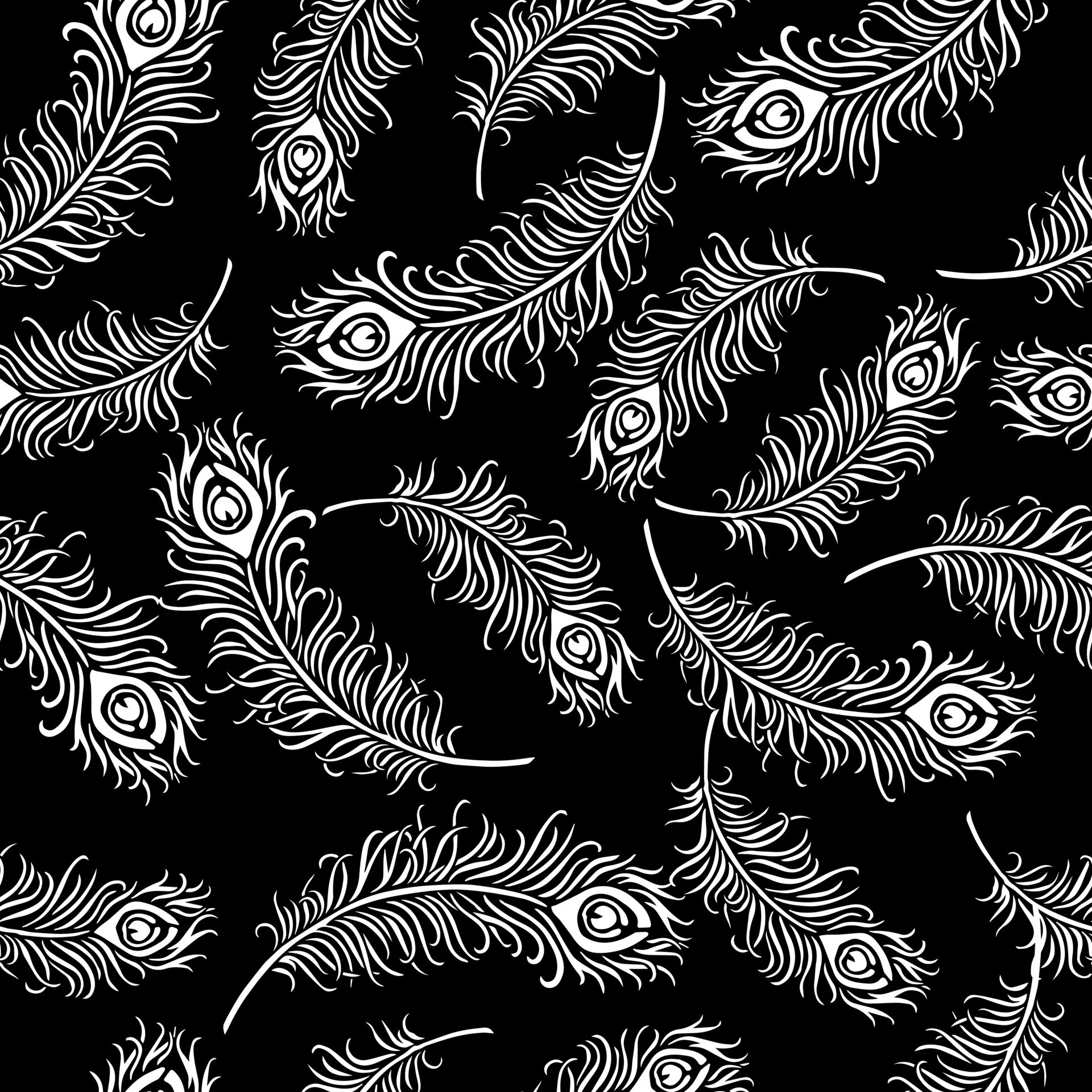 illustration, seamless pattern, drawn white peacock feathers on a black  background, for wallpaper, textile, paper 4660780 Vector Art at Vecteezy