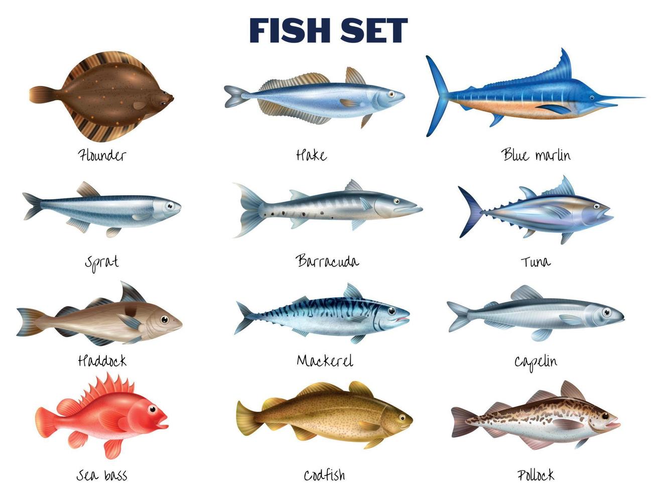 Sea Fish Set vector