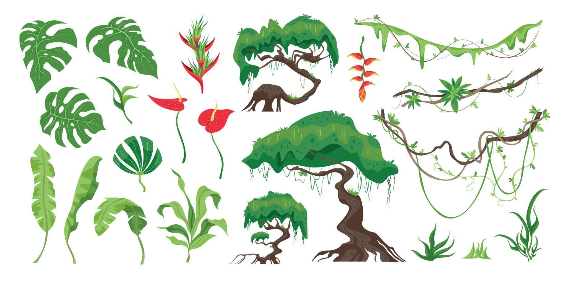 Conjunto horizontal de plantas de la selva. vector