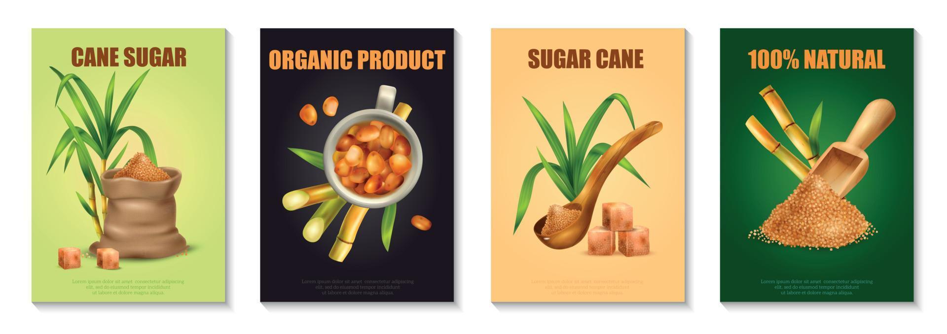 Sugar Cane Poster Set vector