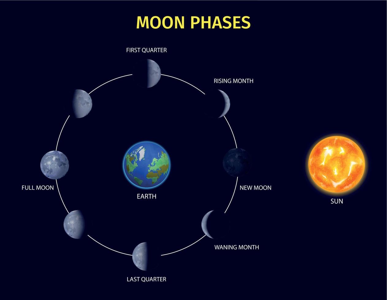 conjunto de infografía de fases de la luna vector
