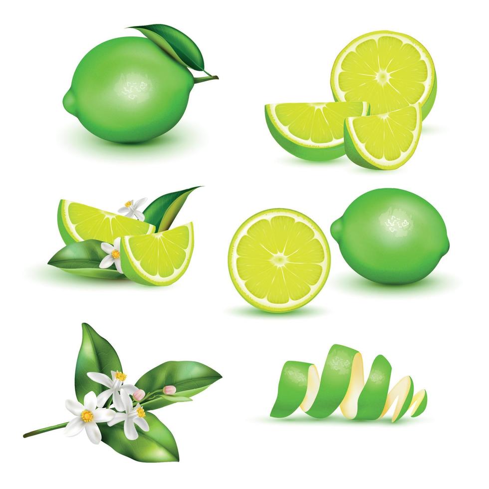 Lemon Realistic Set vector