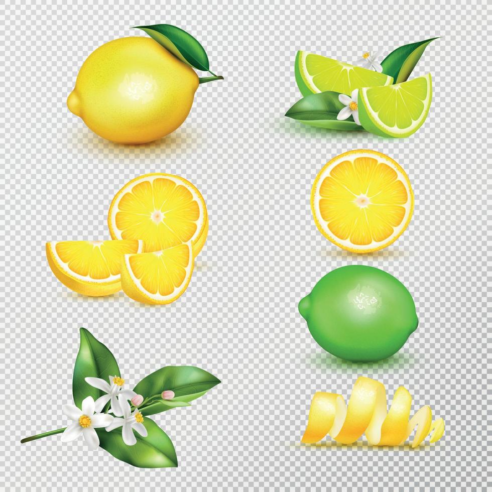 Lemon Lime Realistic Set Transparent vector