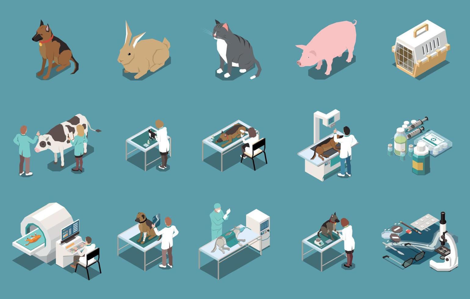 Veterinary Clinic Isometric Set vector