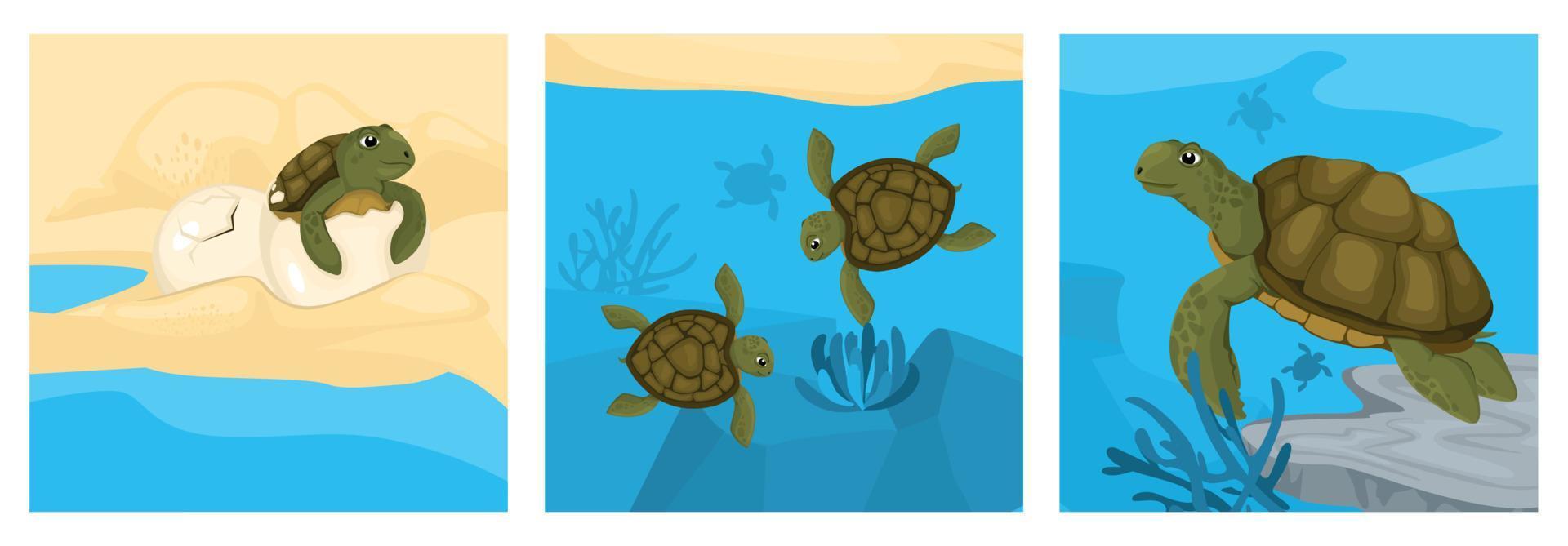 Turtle Cycle Design Concept vector