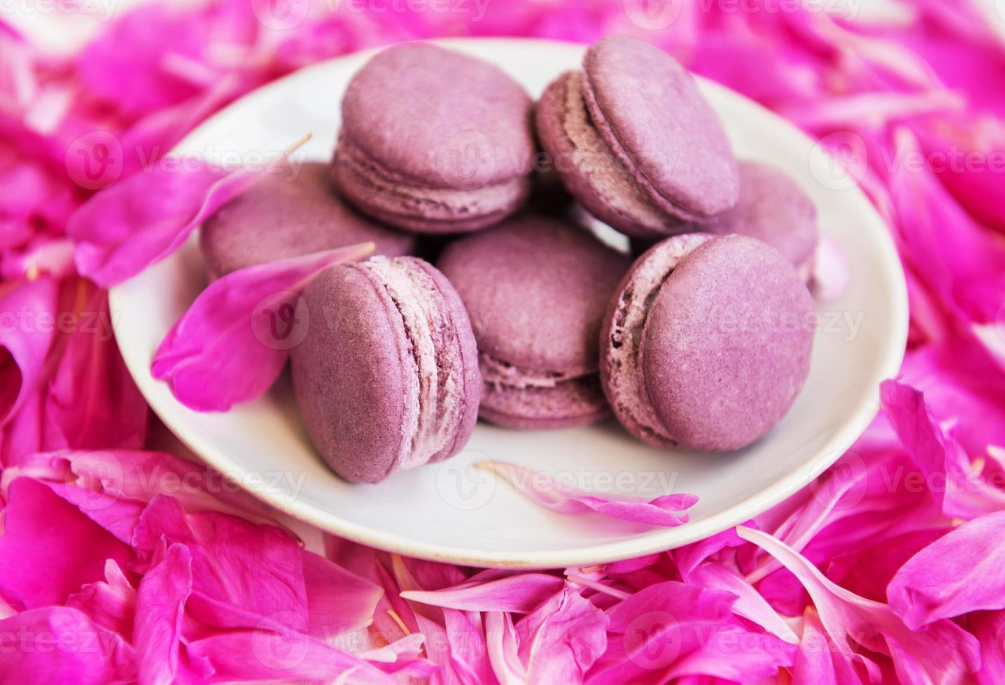 Pink peony petals with macarons photo