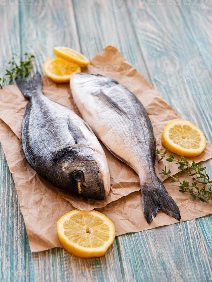 Fresh fish dorado photo