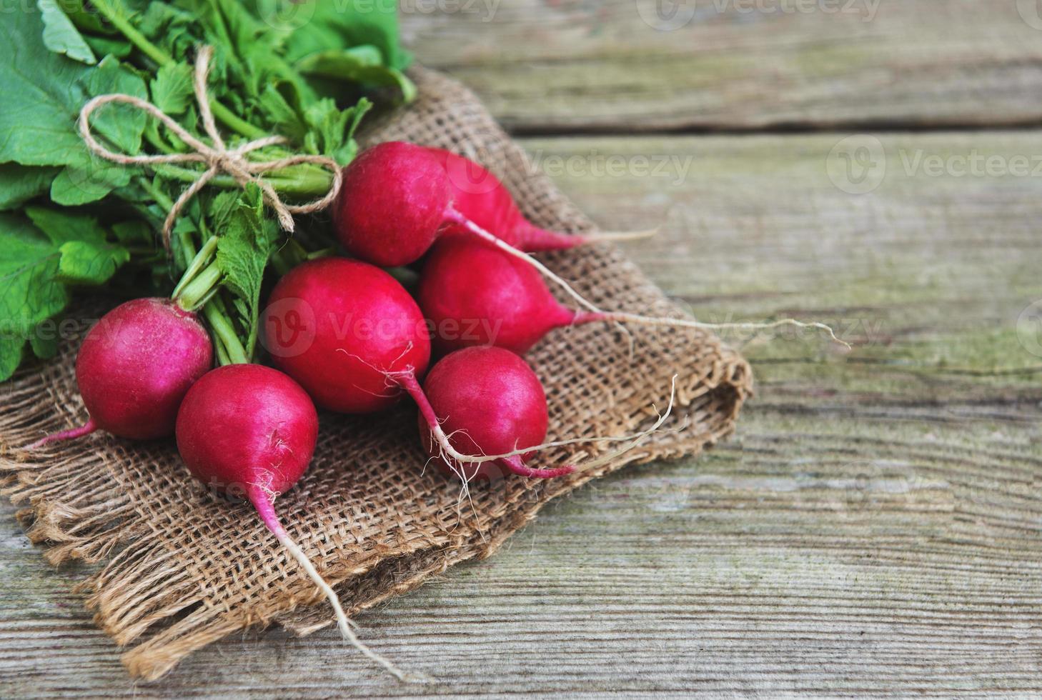 Fresh purple radish photo