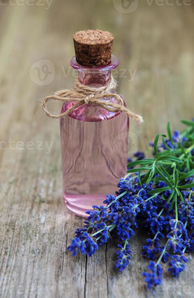 Essential oil with fresh lavender photo