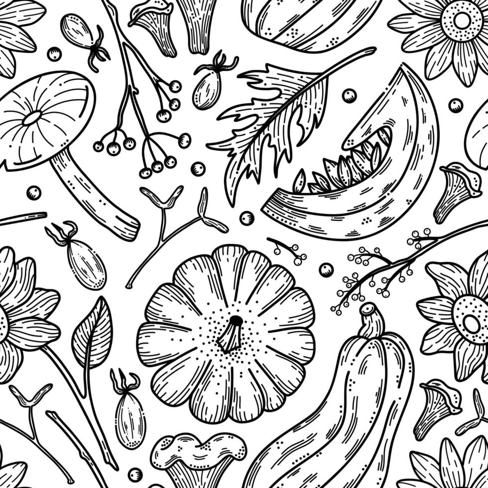 otoño de patrones sin fisuras con calabazas, setas, hojas de otoño y girasoles. vector caída de fondo. Ilustración de arte de línea floral y vegetal en blanco