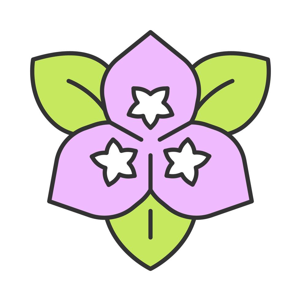 Bougainvillea flower color icon. Ornamental garden plant. Isolated vector illustration