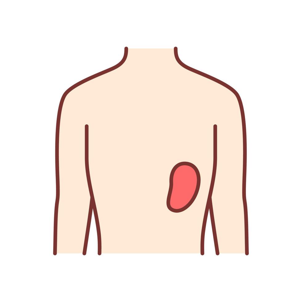 Healthy spleen color icon. Human organ in good health. People wellness. Functioning lymphatic system. Internal body part in good shape. Wholesome immune system. Isolated vector illustration