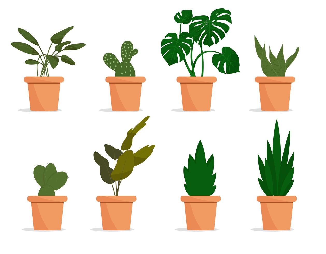 Beautiful flowers in pots. Plants in pots vector