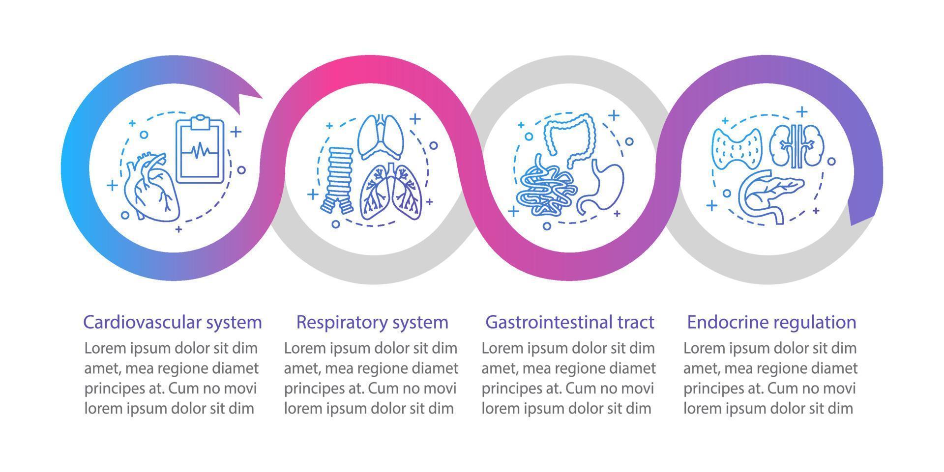 Plantilla de infografía de vector de medicina y salud. tracto gastrointestinal, regulación endocrina. visualización de datos con cuatro pasos y opciones. gráfico de la línea de tiempo del proceso. diseño de flujo de trabajo con iconos