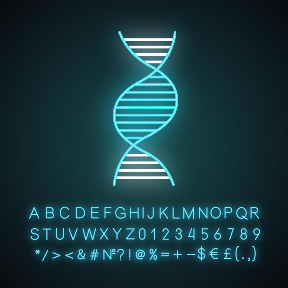 icono de luz de neón de hélice de adn para diestros. b-adn. desoxirribonucleico, ácido nucleico. Biología Molecular. codigo genetico. genética. signo brillante con alfabeto, números y símbolos. vector ilustración aislada