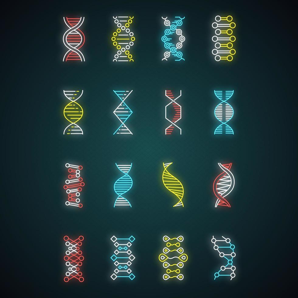 DNA helix neon light icons set. Deoxyribonucleic, nucleic acid structure. Chromosome. Spiraling strands. Molecular biology. Genetic code. Genome. Genetics. Glowing signs. Vector isolated illustrations
