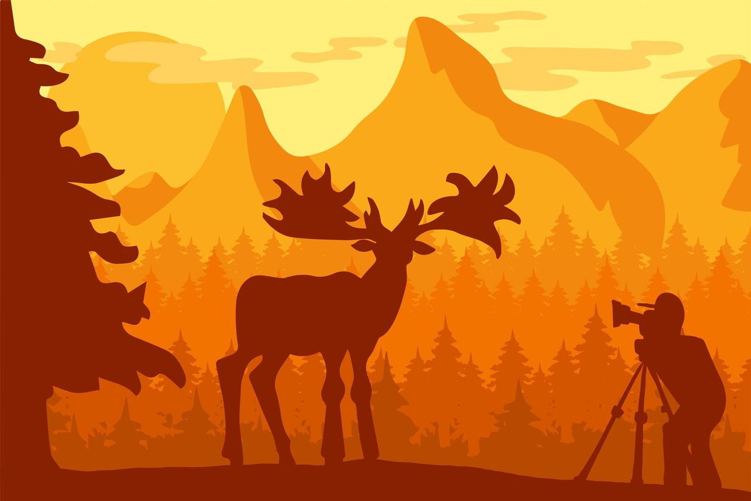 Photographer photographs deer in nature vector