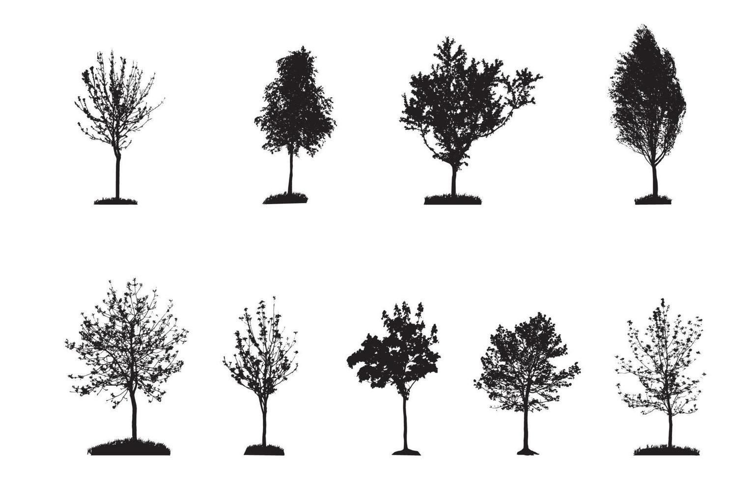 Set of Tree Silhouette Isolated on White Backgorund. Vecrtor Ill vector