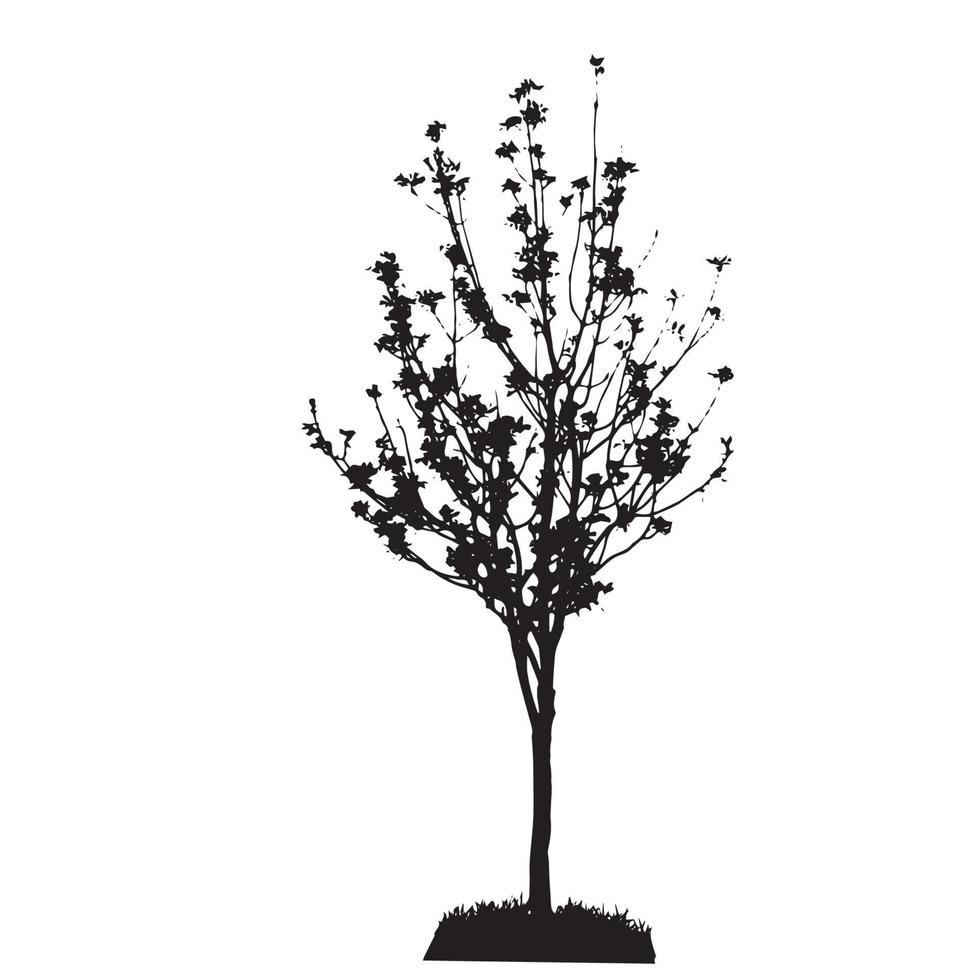 Tree Silhouette Isolated on White Backgorund. Vecrtor Illustrati vector