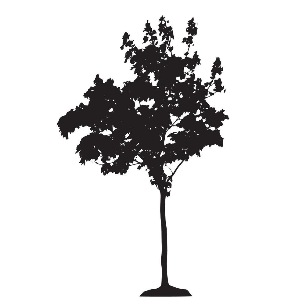 silueta de árbol aislado sobre fondo blanco. vecrtor illustrati vector