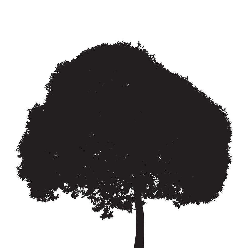 Tree Silhouette Isolated on White Backgorund. Vecrtor Illustrati vector