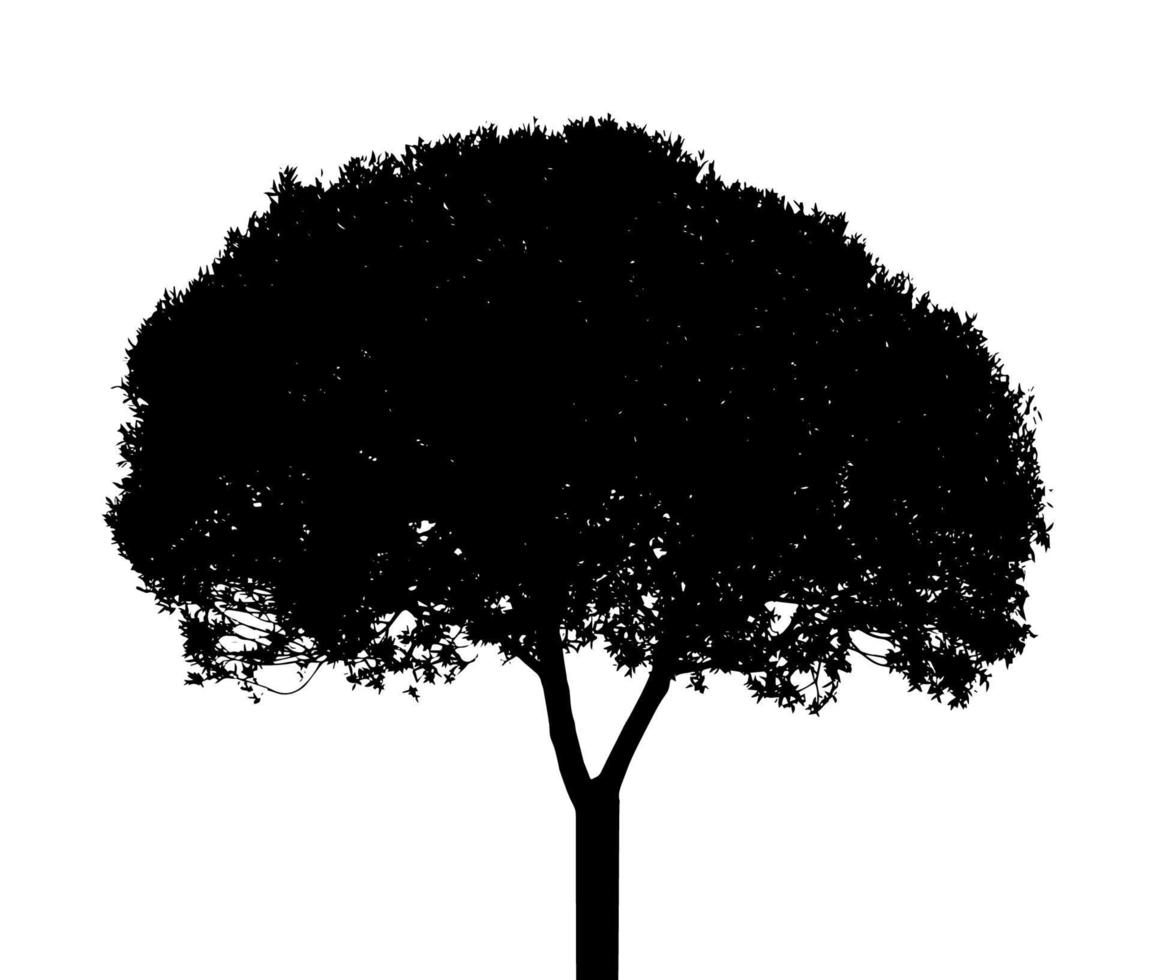 Tree Silhouette Isolated on White Backgorund. Vecrtor Illustrati vector